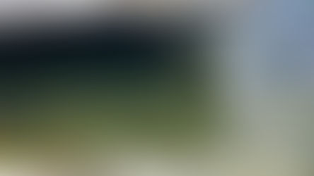 First Cyanobacteria of 2026