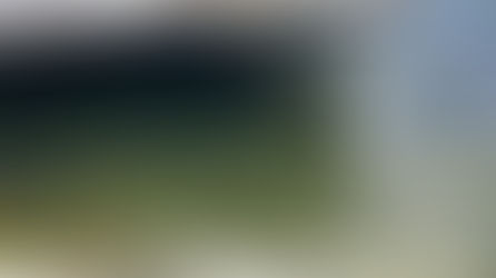 First Cyanobacteria of 2026