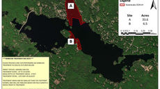 Deep Dive: The 2026 Milfoil Management Plan