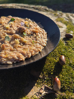 Chapter 9 - Goats and acorns - hunter and gather food-min.jpg