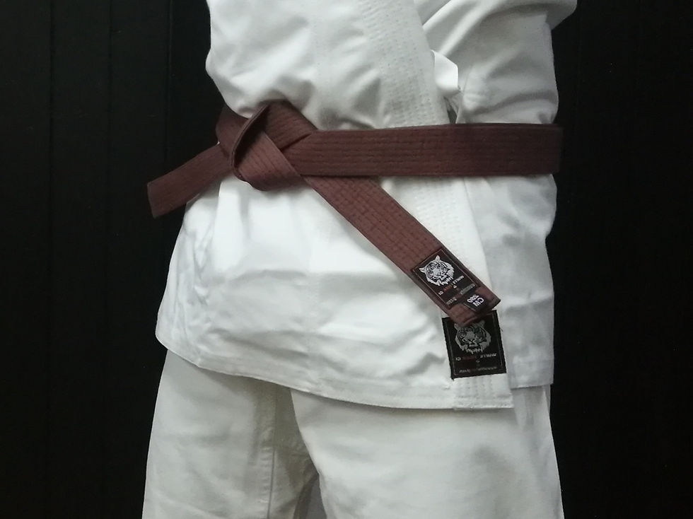 Miniatura: Cinture da karate nere