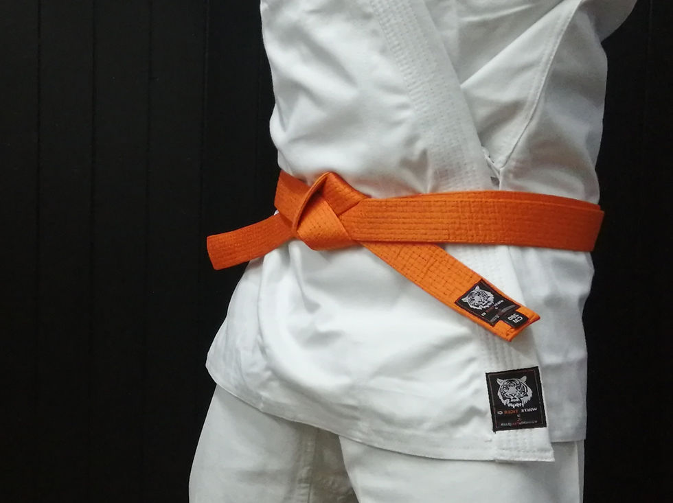 Thumbnail: Karate Grade Belts