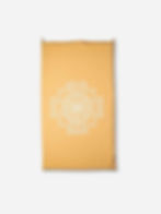 Shaktimatta light baksida