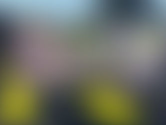 DMT Pogi's al Tour de France con ICE-KEY