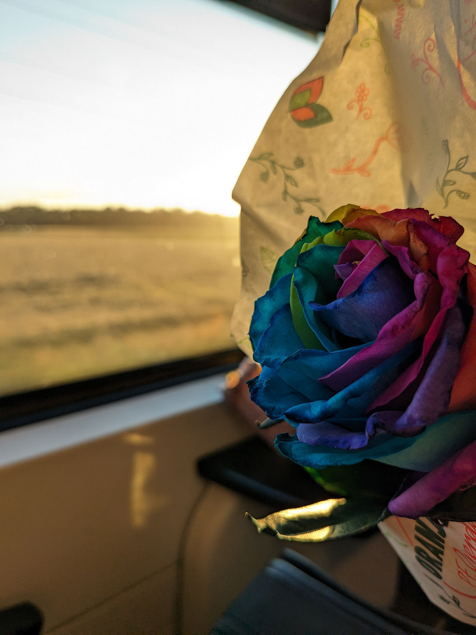 regenbogenfarbene Blume im Zug beim Sonnenuntergang