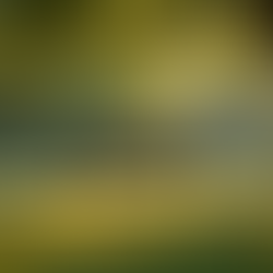 Meine 10 bildschirmfreien Lieblingsaktivitäten