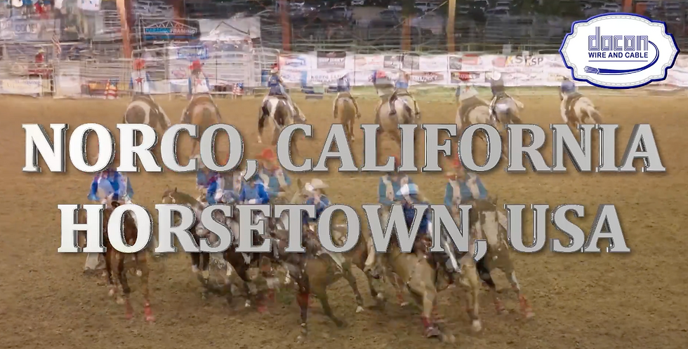 Horseweek Obstacle Course Hosted by NHA