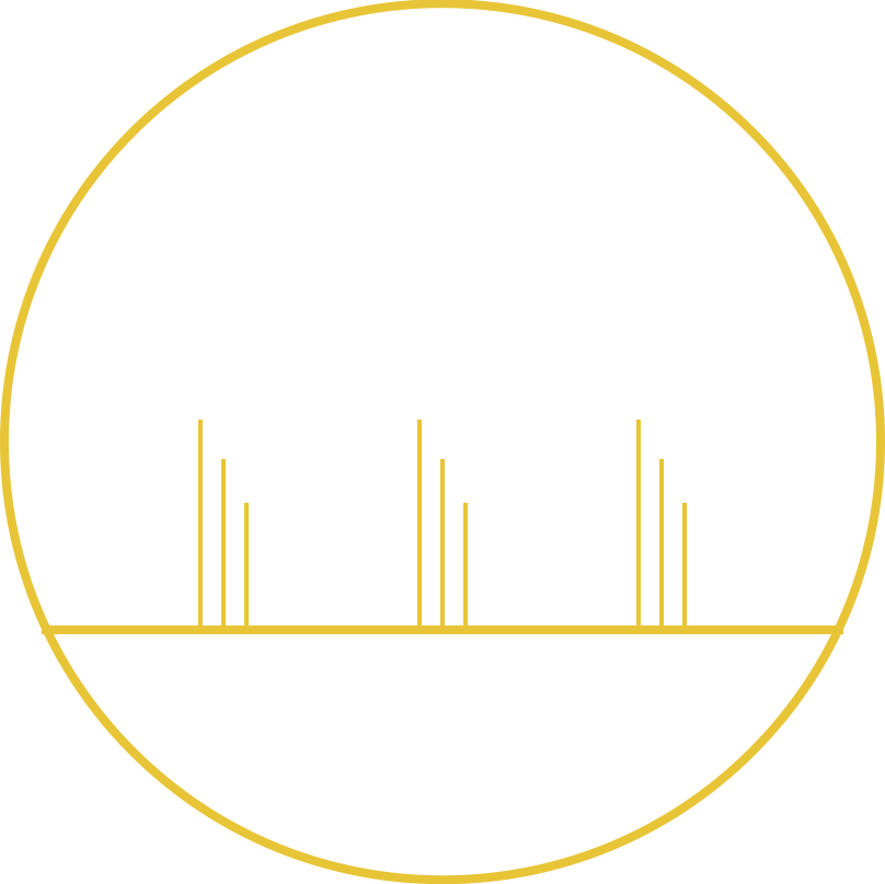 icons8.gif