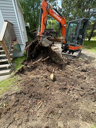 Stump removal
