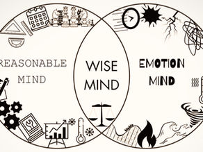 Dialectical Behavior Therapy: The Three States of Mind