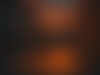 Chapter 3: The Fire Within