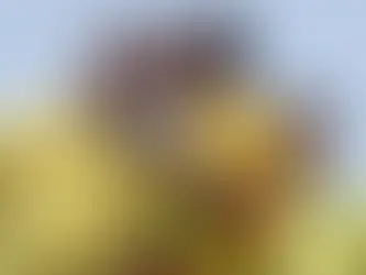 Flávio Bolsonaro confirma candidatura à Presidência