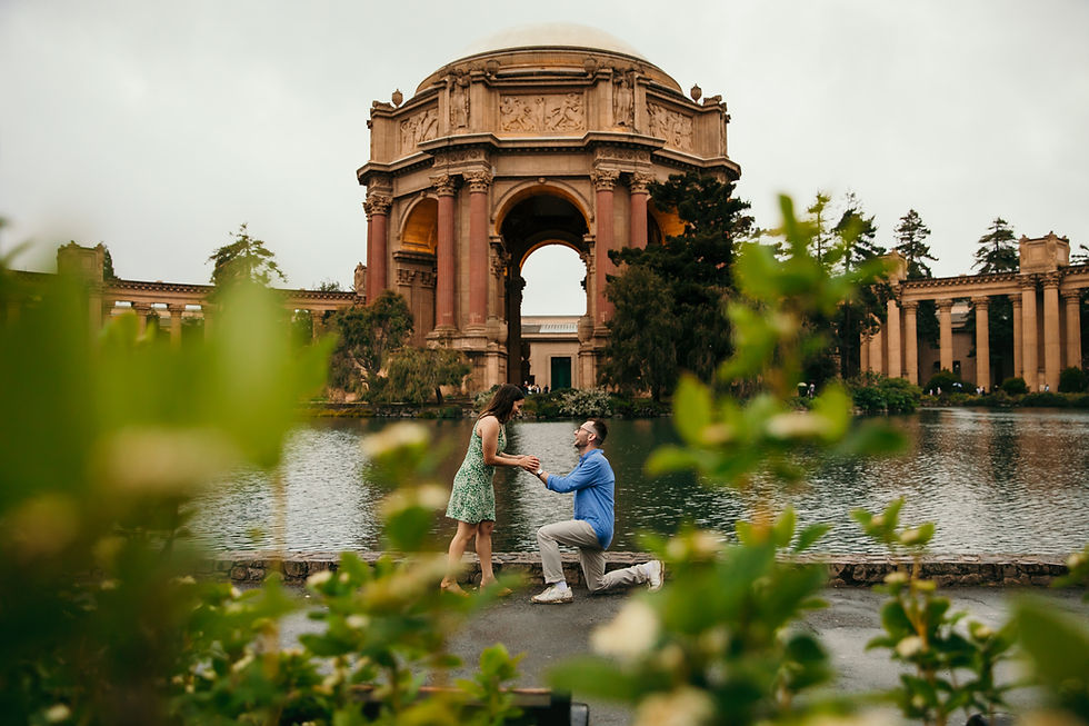 Marriage proposal at Palace of Fine Arts San Francisco