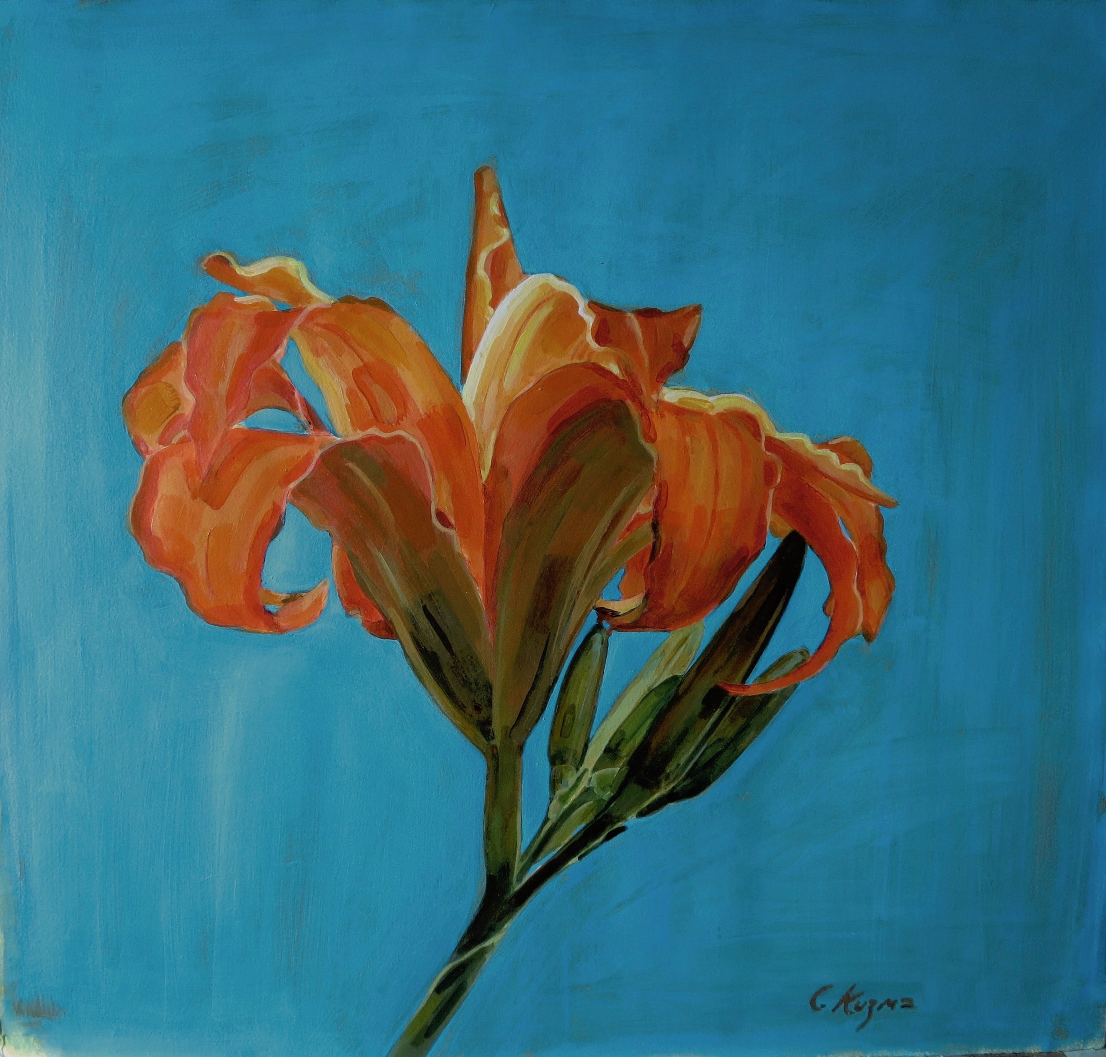 Tiger Lily