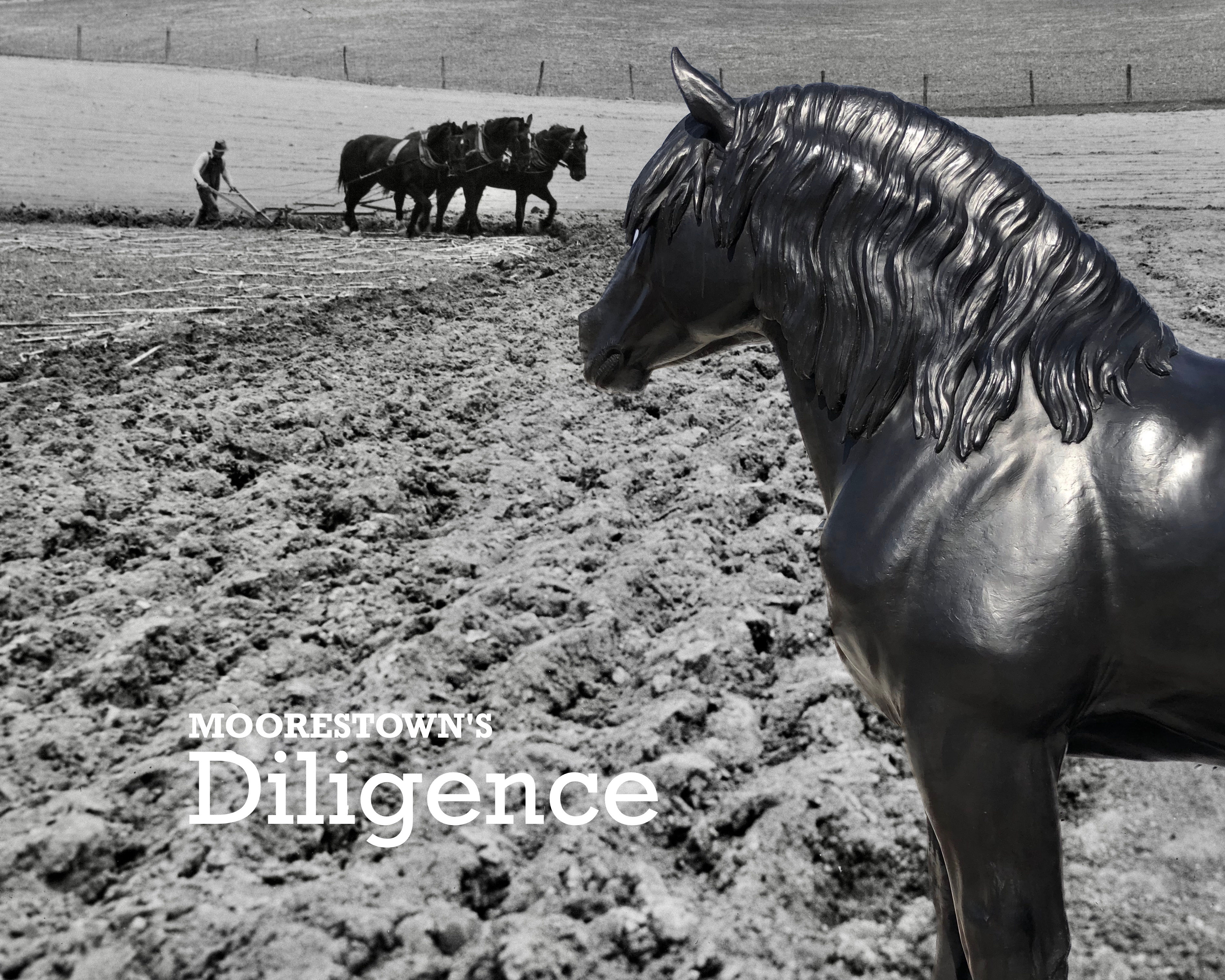 Diligence #2
