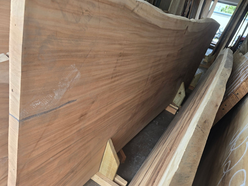Thumbnail: E1117 139X53X2 Monkey Pod