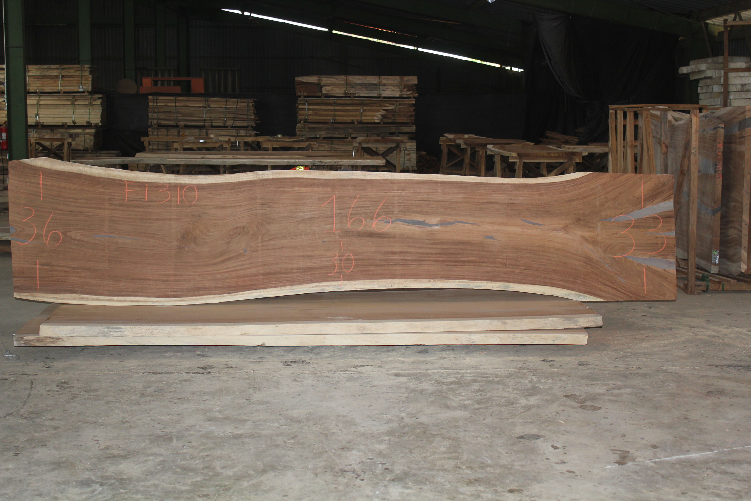 E1310GNC 169X33X2 PAROTA