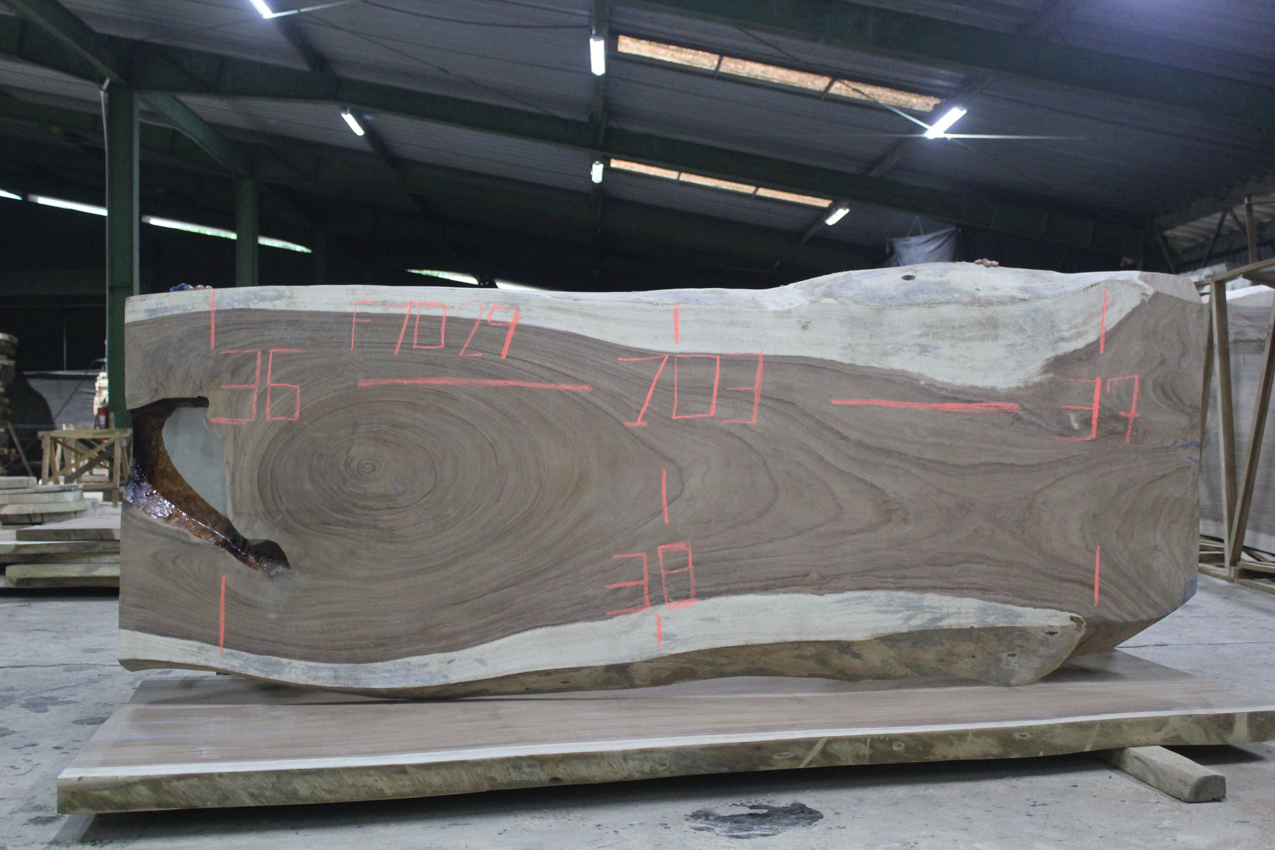 F1029GNC	102X40X3	PAROTA