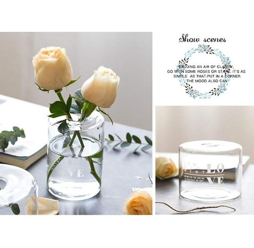 hydroponic-transparent-tabletop-flower-v