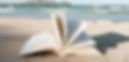 livre-bord-de-plage.jpg