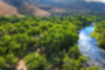 Website Cover.jpg