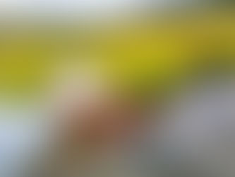 Kern River Fly Fishing Report- August 27, 2018