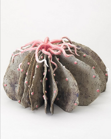 Saturday 8th November 2025 only