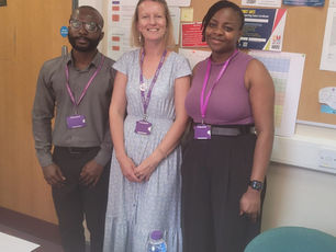 A successful first step: pioneering micro-internship volunteer programme