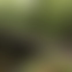 It's a Hard Story to Have to Know