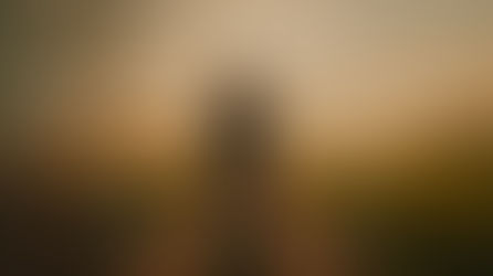 Silhouette of a person with a tablet in a classroom, blended with a sunlit path. Text overlays: "July is the space between..."