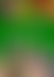 Christmas Wreath Making Experience