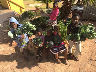 Gardening the African Way