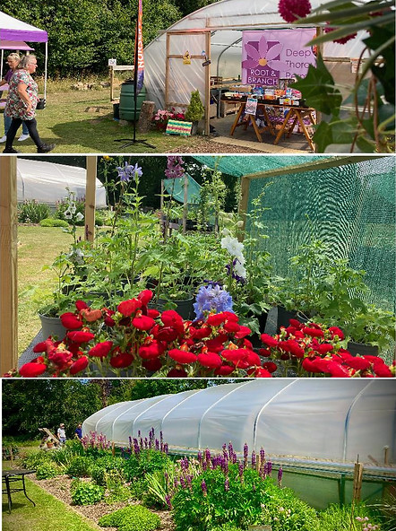 Nursery montage 1.jpg