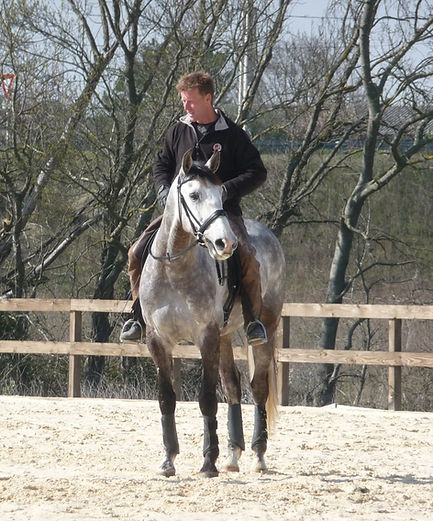 Les Écuries d'Artuzac dressage de chevaux Alès