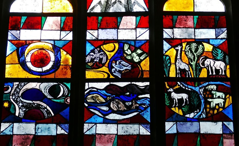 Vitrail arche de Noé