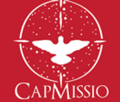 Log Cap Missio