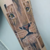 tattoo leão colorido
