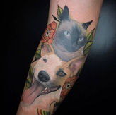 Tattoo pet, tatuagem gato, tatuagem cachorro