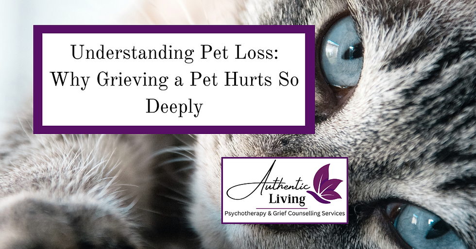 Close-up of a cat's eye with text: "Understanding Pet Loss: Why Grieving a Pet Hurts So Deeply." Logo reads "Authentic Living" with purple accents.