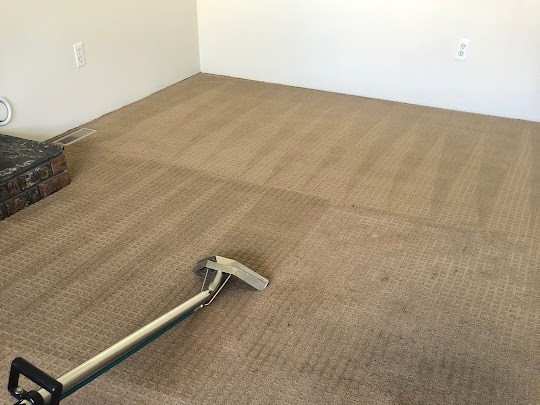 Vancouver carpet cleaning picture