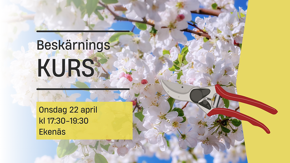 Onsdag den 22 april ordnar vi en beskärningskurs 🌿✂️