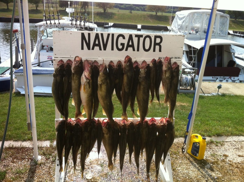Lake Erie Walleye charter