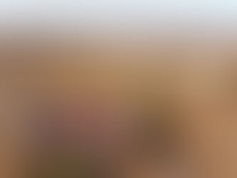 Camp in Jaisalmer: Everything You Need to Know Before Booking