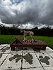 IMG_7607.jpeg