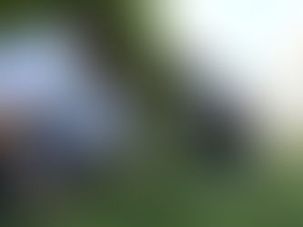 Alcaldía en tu comunidad' embellece áreas públicas de Betani