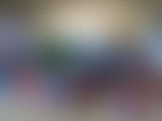 Segunda edición anual de la Donatón por los animales sin hogar 2025, se realizará este fin de semana a nivel nacional