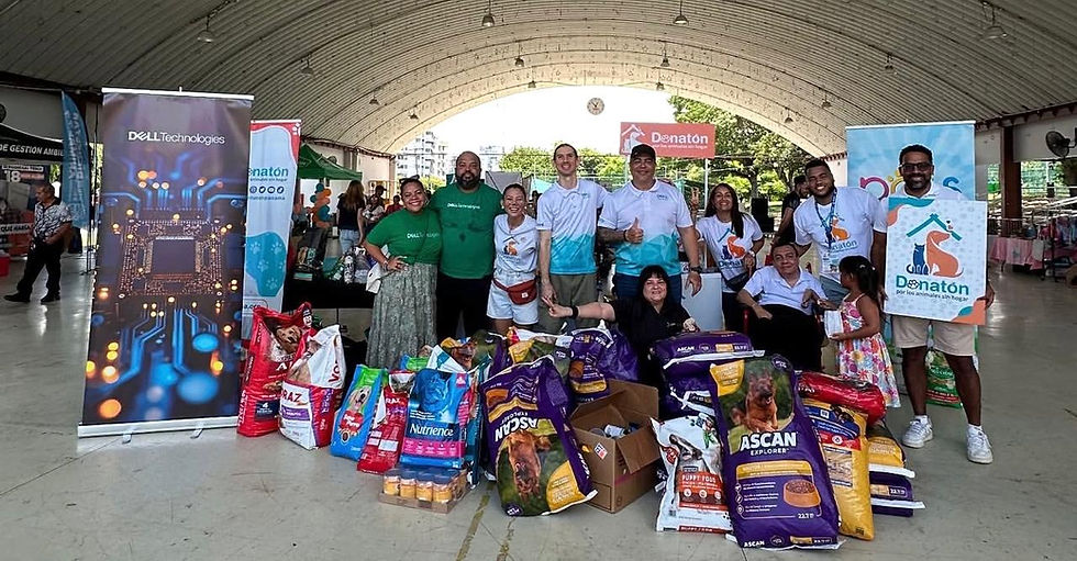 Segunda edición anual de la Donatón por los animales sin hogar 2025, se realizará este fin de semana a nivel nacional