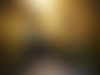 화정동 스웨디시 마사지, 혜택 팡팡 고양 더블유테라피!