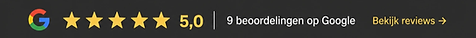 Google Reviews balk Bon Frites.png