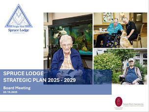 Strategic Plan 2025-2029